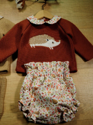 Conjunto erizo